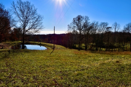 Homesite w/ Land, High-Speed Internet, Pond For Sale So. IN - image 20