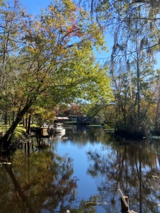 Suwannee River - Fowlers Bluff!! - image 7