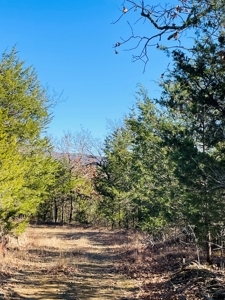 Land For Sale In Southern Oklahoma - image 5