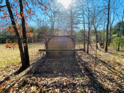 Land For Sale In Southern Oklahoma - image 23