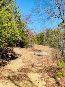 Land For Sale In Southern Oklahoma - image 8