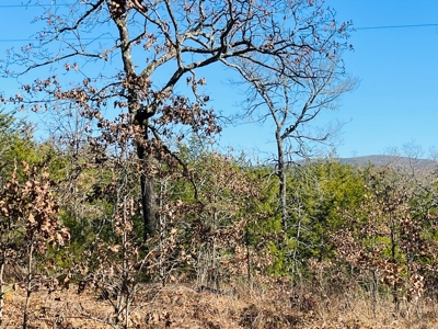 Land For Sale In Southern Oklahoma - image 9