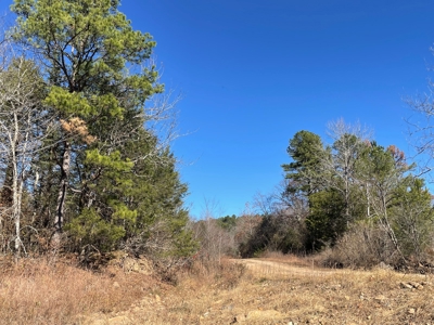 Land For Sale In Southern Oklahoma - image 30