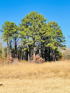 Land For Sale In Southern Oklahoma - image 26