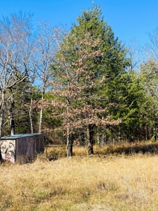 Land For Sale In Southern Oklahoma - image 25