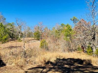 Land For Sale In Southern Oklahoma - image 2