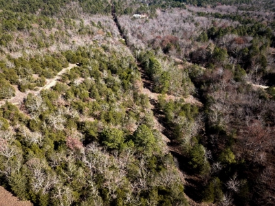 Land For Sale In Southern Oklahoma - image 46