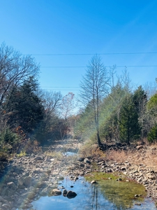 Land For Sale In Southern Oklahoma - image 36