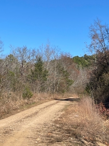 Land For Sale In Southern Oklahoma - image 34