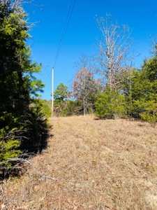 Land For Sale In Southern Oklahoma - image 7