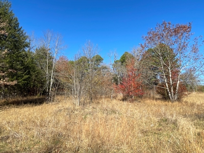 Land For Sale In Southern Oklahoma - image 24