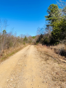 Land For Sale In Southern Oklahoma - image 39