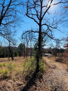 Land For Sale In Southern Oklahoma - image 15