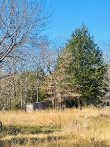 Land For Sale In Southern Oklahoma - image 27