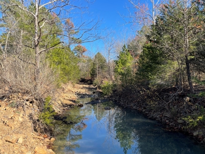 Land For Sale In Southern Oklahoma - image 1