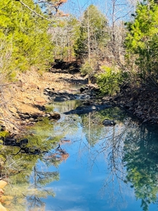 Land For Sale In Southern Oklahoma - image 38