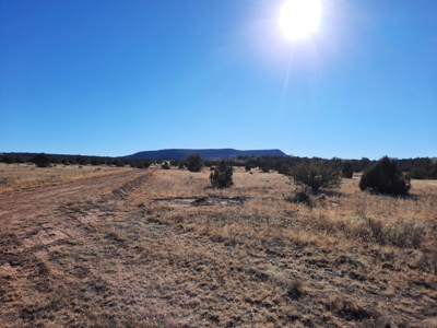 Gorgeous Views - image 11