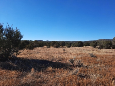 Gorgeous Views - image 6