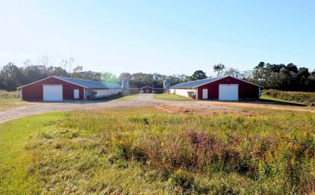 4 House Poultry Breeder Farm for Sale South Mississippi - image 2