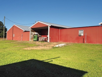 4 House Poultry Breeder Farm for Sale South Mississippi - image 7
