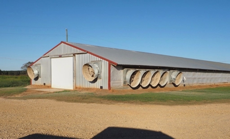 4 House Poultry Breeder Farm for Sale South Mississippi - image 42