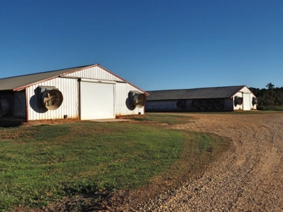 4 House Poultry Breeder Farm for Sale South Mississippi - image 18