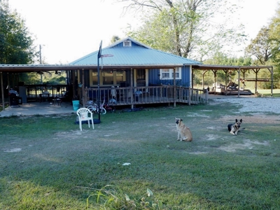 4 House Poultry Breeder Farm for Sale South Mississippi - image 12
