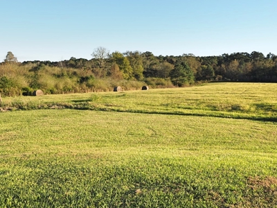 4 House Poultry Breeder Farm for Sale South Mississippi - image 23