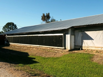 4 House Poultry Breeder Farm for Sale South Mississippi - image 3