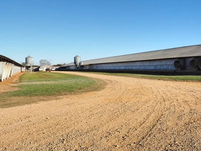4 House Poultry Breeder Farm for Sale South Mississippi - image 36