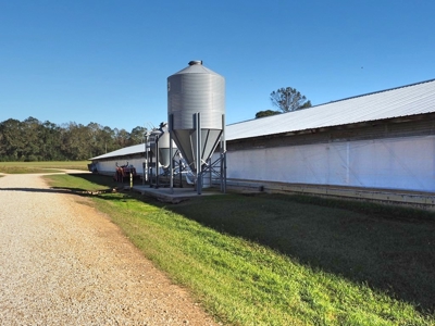 4 House Poultry Breeder Farm for Sale South Mississippi - image 4