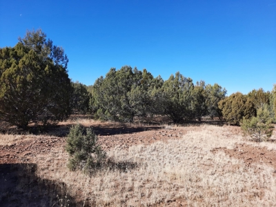 Very Secluded - image 6