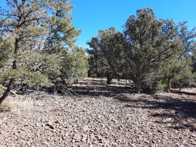 Very Secluded - image 3