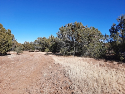 Very Secluded - image 1