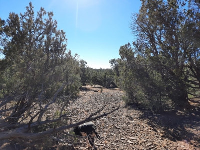 Very Secluded - image 10
