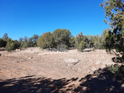 Very Secluded - image 1