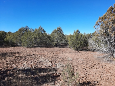 Very Secluded - image 11