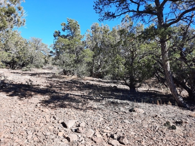 Very Secluded - image 5