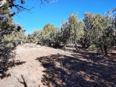 Very Secluded - image 6