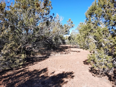 Very Secluded - image 10