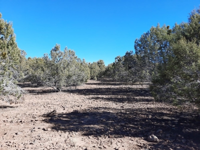 Very Secluded - image 12