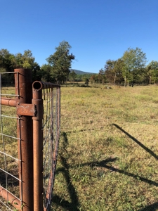 Mountain View Cabin Site And Investment Property - image 14