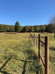 Mountain View Cabin Site And Investment Property - image 13