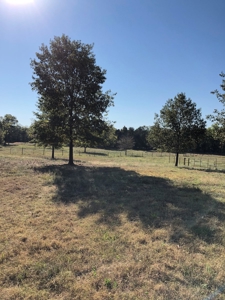 Mountain View Cabin Site And Investment Property - image 8