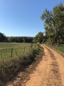 Mountain View Cabin Site And Investment Property - image 18