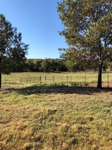 Mountain View Cabin Site And Investment Property - image 10