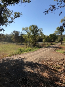 Mountain View Cabin Site And Investment Property - image 19