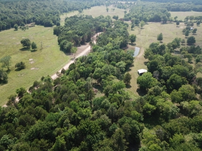 Mountain View Cabin Site And Investment Property - image 22
