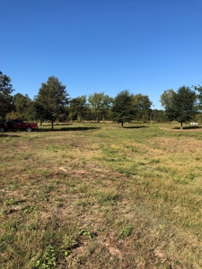 Mountain View Cabin Site And Investment Property - image 7