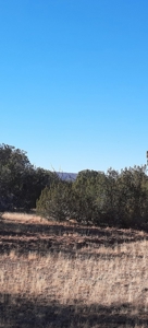 Extremely Rare - image 13